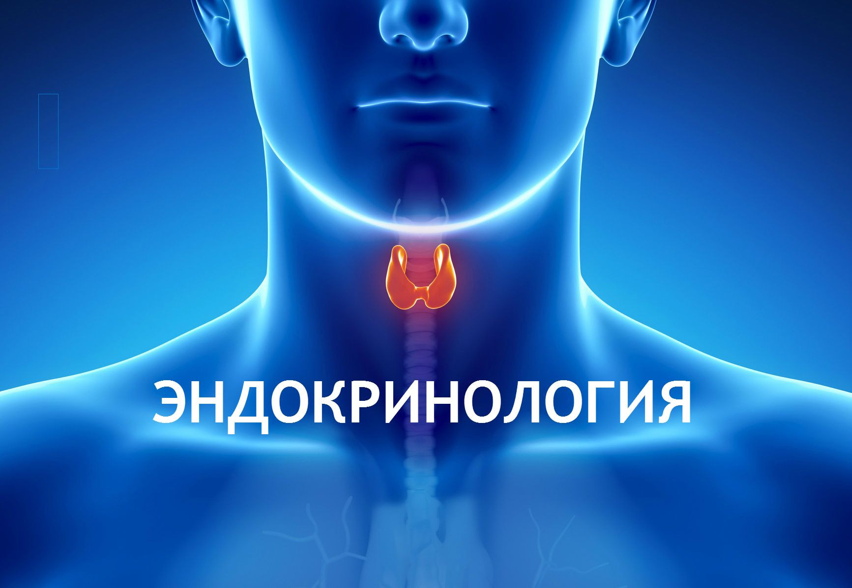 Врач-эндокринолог