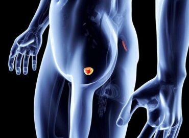 Чому треба вчасно стежити за здоров'ям передміхурової залози?