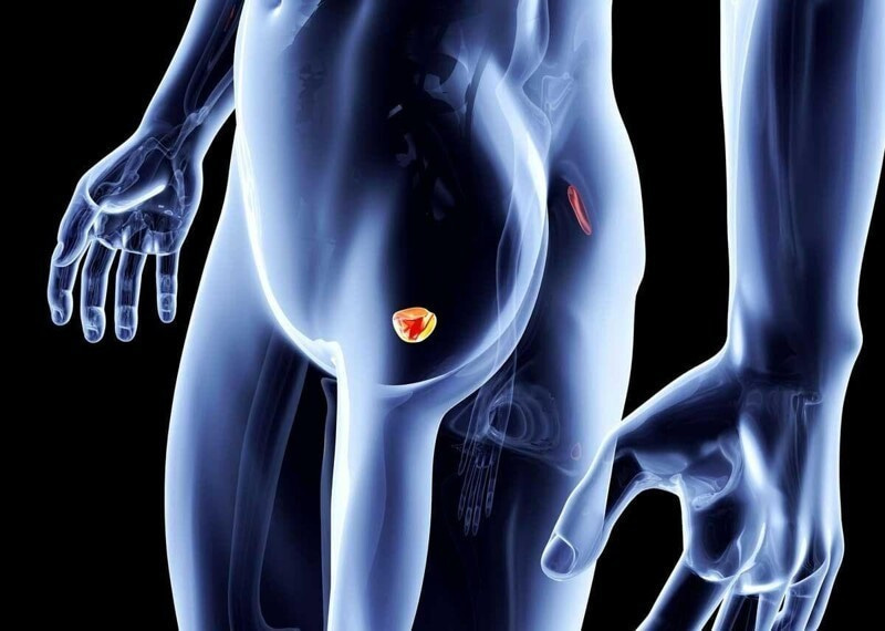 Чому треба вчасно стежити за здоров’ям передміхурової залози?