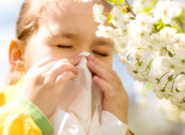 Аллергия - сезон открыт