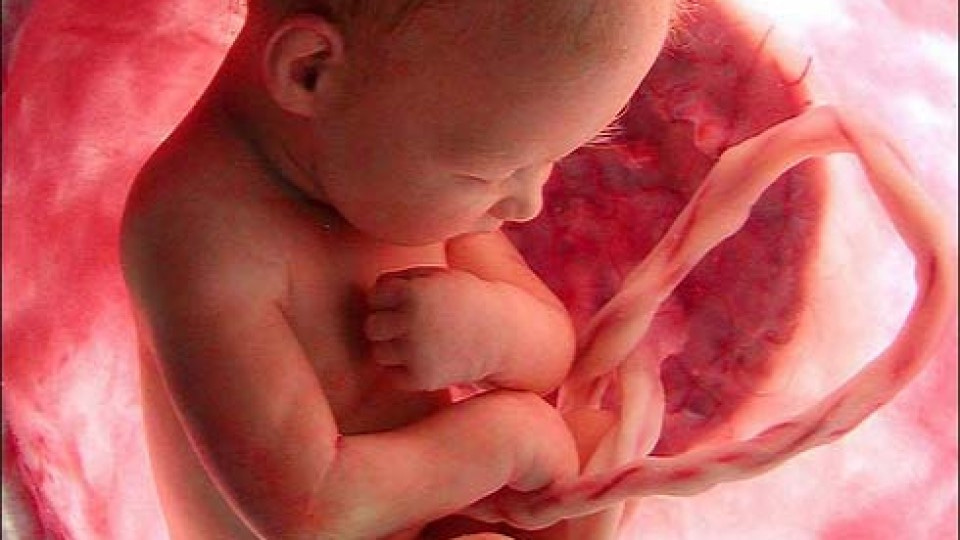 Пренатальная диагностика – Ваш ключ к здоровью будущего малыша