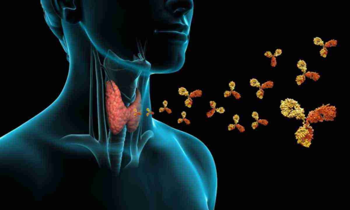 Роль ендокринної системи в підтримці здоров’я: погляд ендокринолога