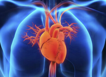 Кардиомиопатии: классификация, причины, симптомы и лечение