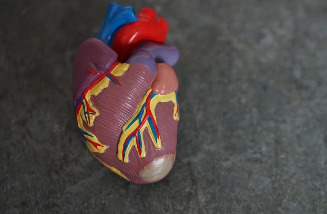 Вроджені та набуті вади серця: симптоми й сучасні підходи до терапії