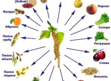 Начало сезонной аллергии, что нужно знать?