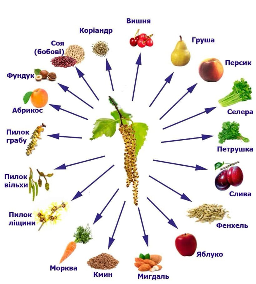 Початок сезонної алергії, що потрібно знати?